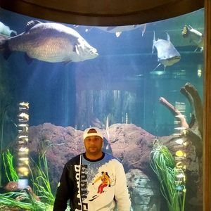 Meet your Posher, Commodore